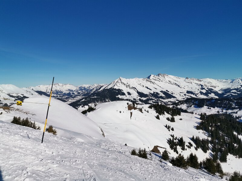 Première Sortie